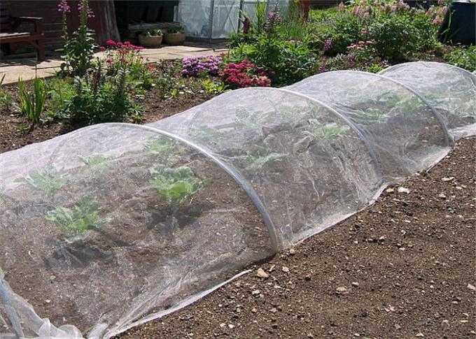 Fabrication de jardin de preuve d'insecte d'Agricultura de HDPE, fabrication de protection de maille d'insecte de la maille 20-100