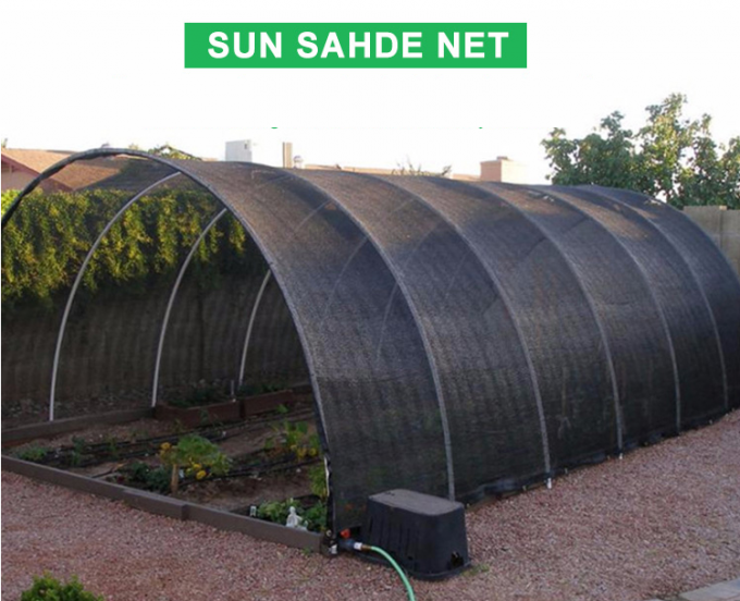 Taux à haute résistance vert-foncé 70% d'ombrage de force de filet d'ombre de Sun de fruit et de semis
