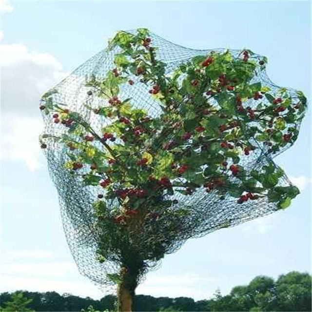 La fabrication d'oiseau de polyéthylène haute densité pour l'enveloppe arbres de plante/fruitiers a tricoté le type