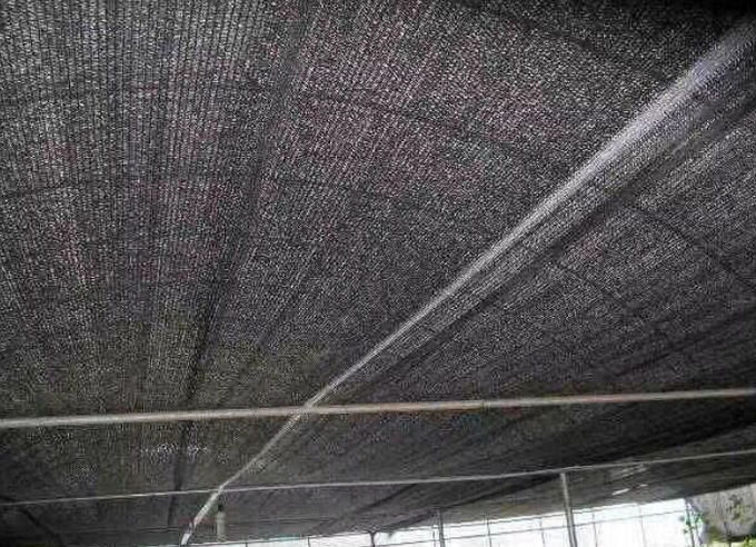 Raschel a tricoté le tissu d'ombre pour des usines, le HDPE 50gsm avec le filet UV d'ombre de jardin