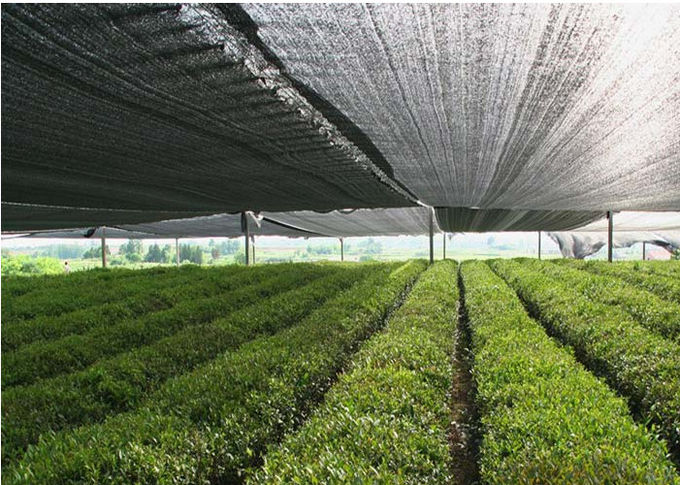 Tissu d'ombre de jardin tricoté par tissu extérieur d'ombre pour Agricuture et Chambre verte